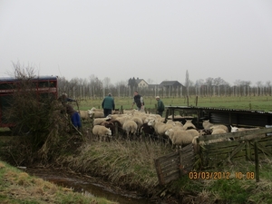 Geldermalsen, Winterserie 40 km, 3 maart 2012 028