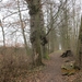 Geldermalsen, Winterserie 40 km, 3 maart 2012 043