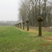 Geldermalsen, Winterserie 40 km, 3 maart 2012 044