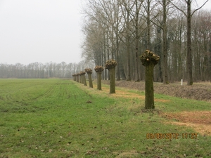 Geldermalsen, Winterserie 40 km, 3 maart 2012 044