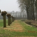 Geldermalsen, Winterserie 40 km, 3 maart 2012 045