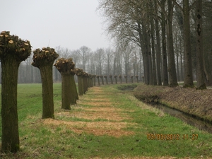 Geldermalsen, Winterserie 40 km, 3 maart 2012 045