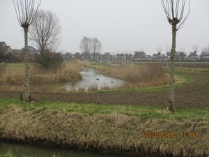 Geldermalsen, Winterserie 40 km, 3 maart 2012 050