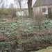Geldermalsen, Winterserie 40 km, 3 maart 2012 056