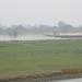 Geldermalsen, Winterserie 40 km, 3 maart 2012 061
