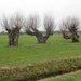 Geldermalsen, Winterserie 40 km, 3 maart 2012 079