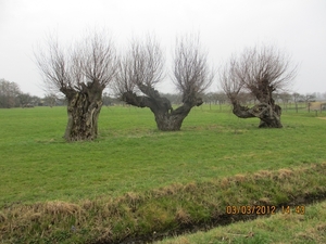 Geldermalsen, Winterserie 40 km, 3 maart 2012 079