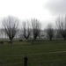 DSCN2481