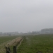 DSCN2484