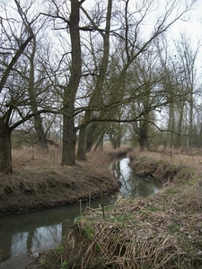 038-Molenbeek te Heldergem