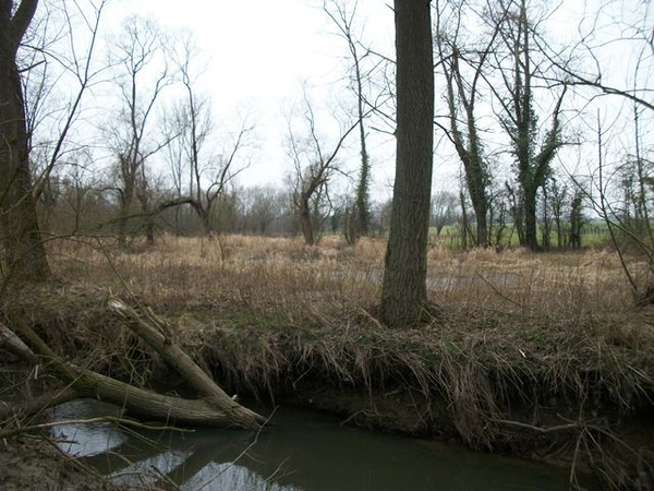 039-Natuurgebied en Molenbeek-Heldergem