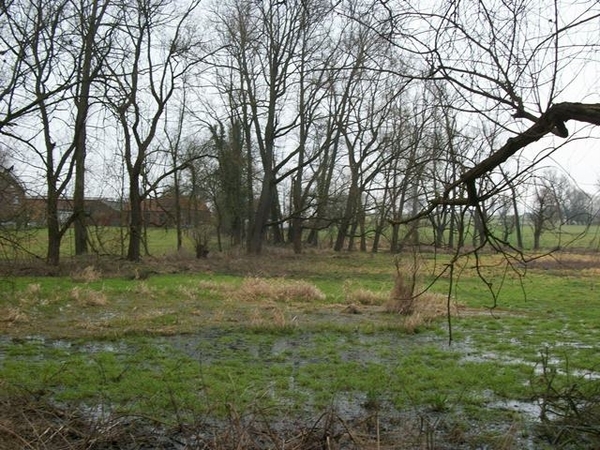 044-Natuurgebied langs Molenbeekroute-Heldergem