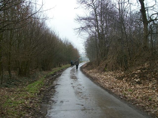 085-Landelijke dreven in Borsbeke