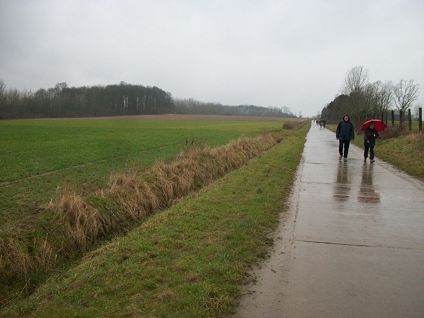 087-Landelijke dreven in Borsbeke