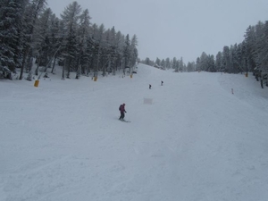 20120220 012 SkiSafari Rosengarten