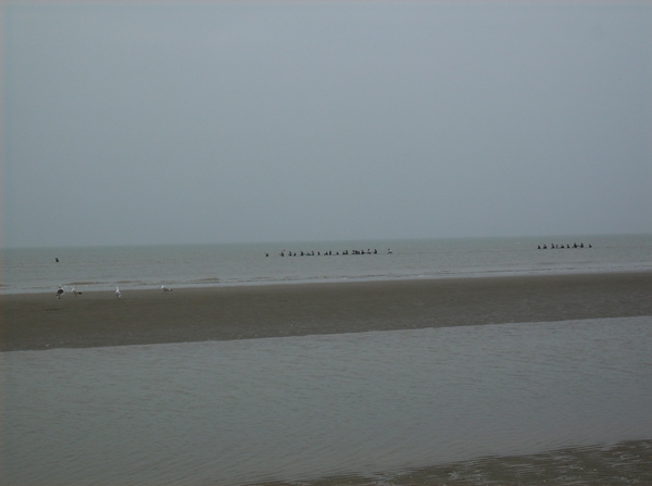 De Panne & Noord Frankrijk Maart 2012 004