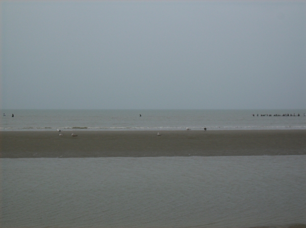 De Panne & Noord Frankrijk Maart 2012 005