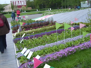 Floriade 9