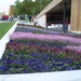 Floriade 38