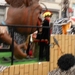 DSCN0168