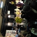 DSCN0235