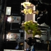 DSCN0237