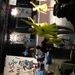 DSCN0238