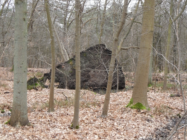 2012-03-06 JanMed Zoersel (101)