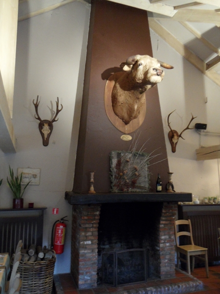 2012-03-06 JanMed Zoersel (118)