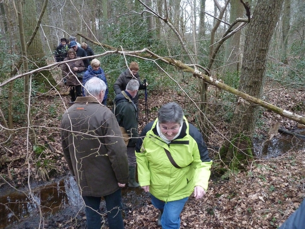 2012-03-06 JanMed Zoersel (27)