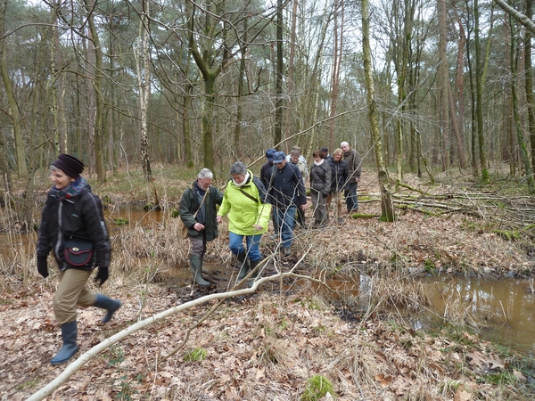 2012-03-06 JanMed Zoersel (46)