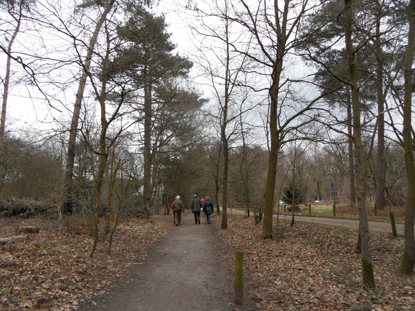 2012-03-06 JanMed Zoersel (71)