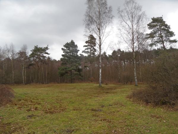 2012-03-06 JanMed Zoersel (93)