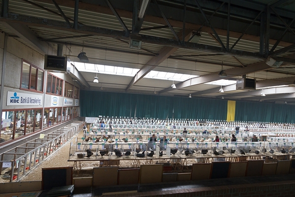 Zaal_013_111113
