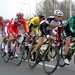 Driedaagse West-Vlaanderen 2012