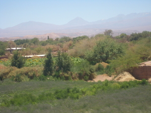 Calama 235