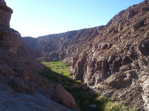 calama 345