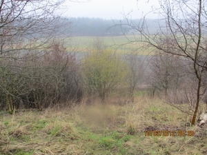 Wekeromsezand, 10 maart 2012 006