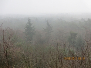 Wekeromsezand, 10 maart 2012 007