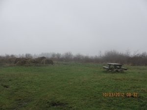 Wekeromsezand, 10 maart 2012 008