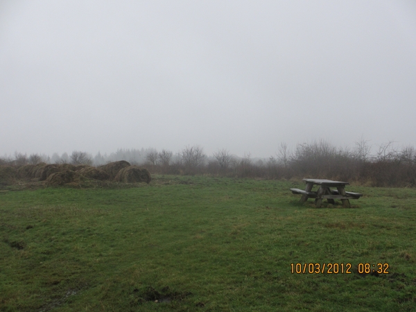 Wekeromsezand, 10 maart 2012 008