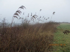 Wekeromsezand, 10 maart 2012 009