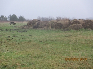 Wekeromsezand, 10 maart 2012 010