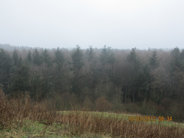 Wekeromsezand, 10 maart 2012 011