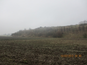 Wekeromsezand, 10 maart 2012 014