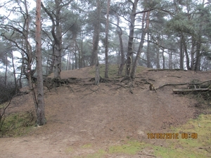 Wekeromsezand, 10 maart 2012 016