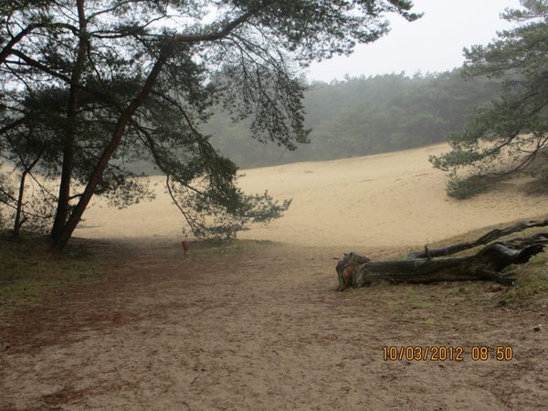 Wekeromsezand, 10 maart 2012 018