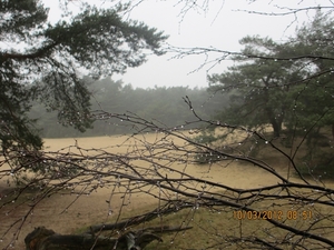 Wekeromsezand, 10 maart 2012 020