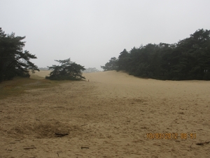 Wekeromsezand, 10 maart 2012 021