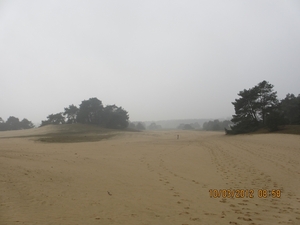 Wekeromsezand, 10 maart 2012 028